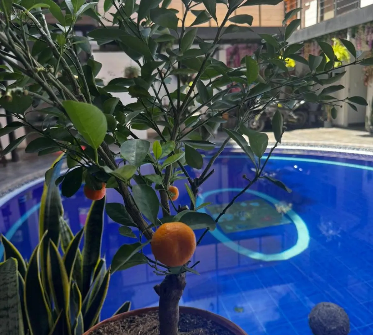 Hotel Casa Boutique La Corona Medellin Envigado